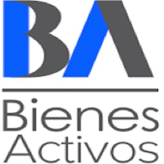 Bienes Activos